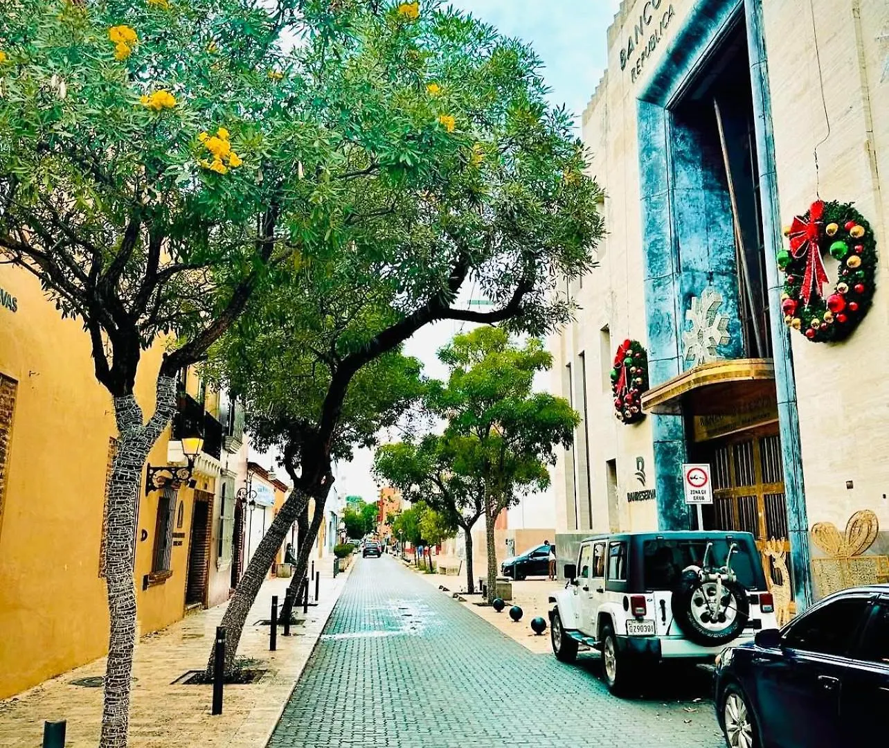 Lejlighed Spectacular Condominium Between The City And The Sea Santo Domingo